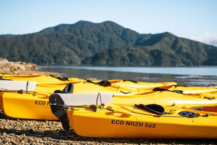 Full-Day Guided Sea Kayak Trip from Picton - Photo 1 of 12